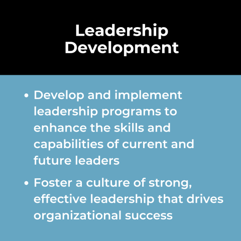 Organizational Effectiveness Use Case: Leadership Development