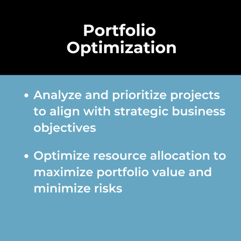 Project Portfolio Management Use Case: Portfolio Optimization