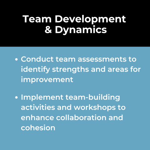 High Performing Teams and Talent Use Case: Team Development and Dynamics