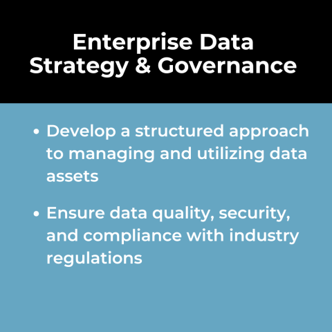 Data Analytics Use Case: Enterprise Data Strategy & Governance