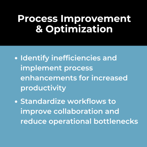 Business Analysis Use Case: Digital Transformation Support: Process Improvement & Optimization