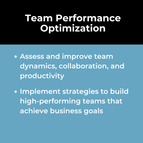 Organizational Effectiveness Use Case: Team Performance Optimization