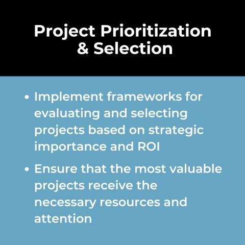 Project Portfolio Management Use Case: Project Prioritization and Selection