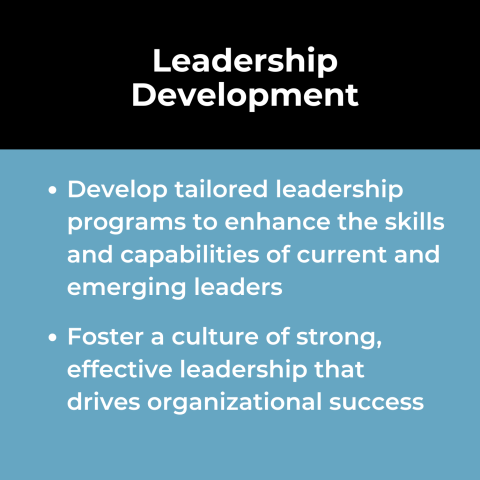 High Performing Teams and Talent Use Case: Leadership Development