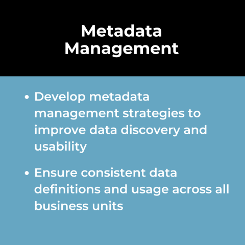 Data Governance Use Case: Metadata Management