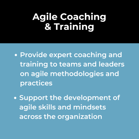 Enterprise Agility Use Case: Agile Coaching and Training