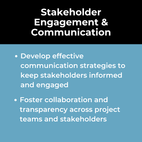 Project Portfolio Management Use Case: Stakeholder Engagement and Communication