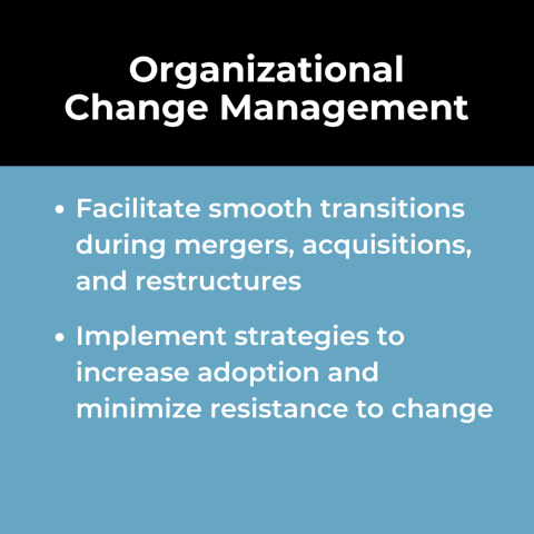 Strategy & Management Consulting Use Case: Organizational Change Management