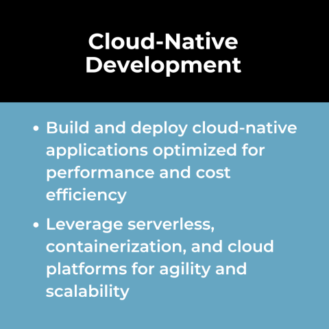Software Engineering Use Case: Cloud-Native Development
