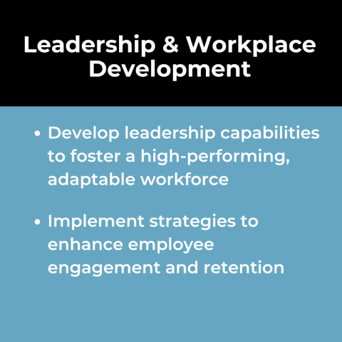 Strategy & Management Consulting Use Case: Leadership & Workplace Development