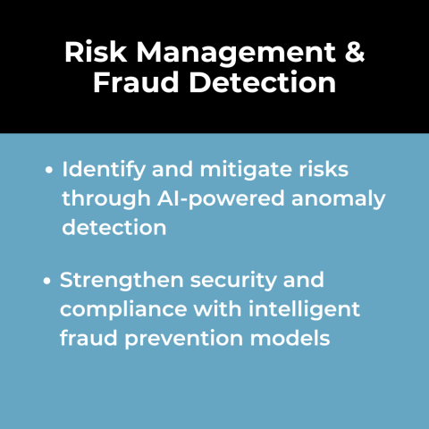 AI Use Case: Risk Management & Fraud Detection