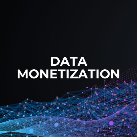Data Monetization with Trissential PDF overview